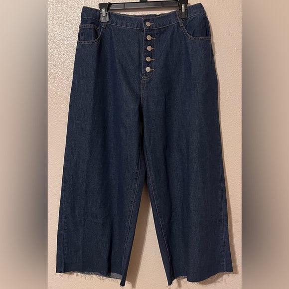 NWOT LUNE Plus Size Button Fly Wide Leg Loose Casual Jeans - size 16(2X) - Picture 2 of 9